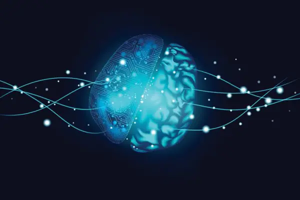 Behavior & Mindset Development