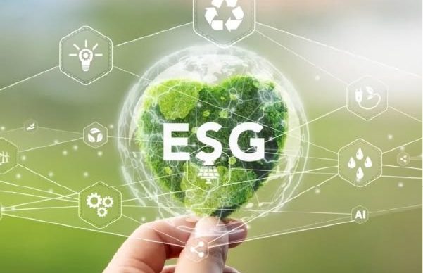 ESG Essentials: Driving Corporate Sustainability