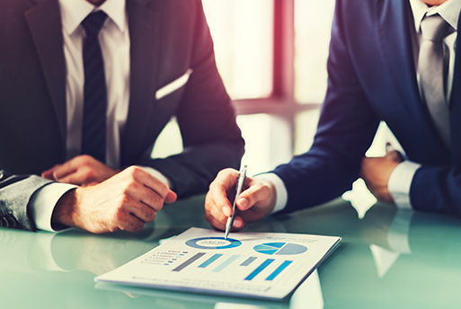 Organizational Review