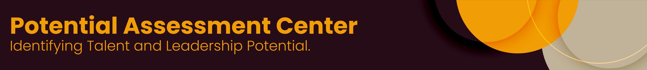 Potential Assessment Center