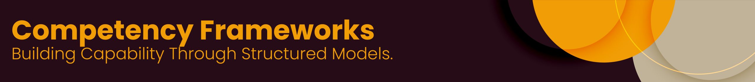 Competency Frameworks