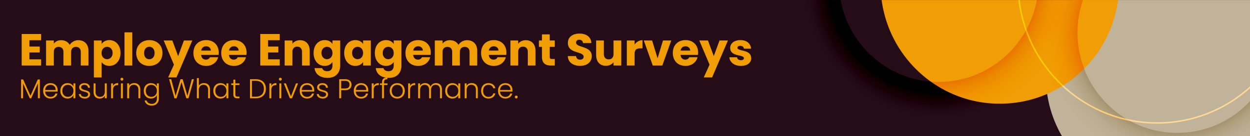 Employee Engagement Surveys