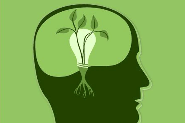 Wellness & Personal Growth